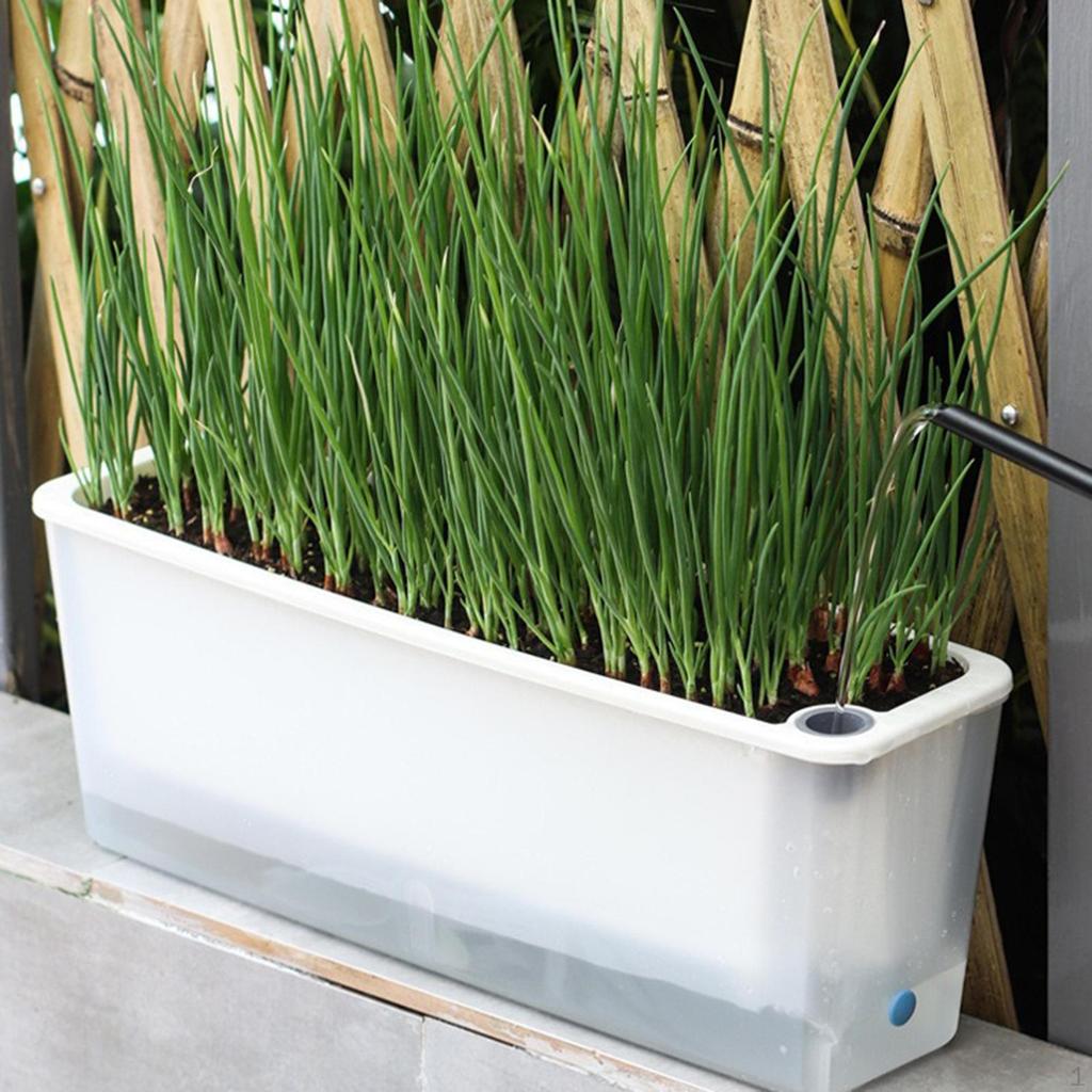 Rectangle Planter Box for Flowers Self Watering Large Capacity Outdoor