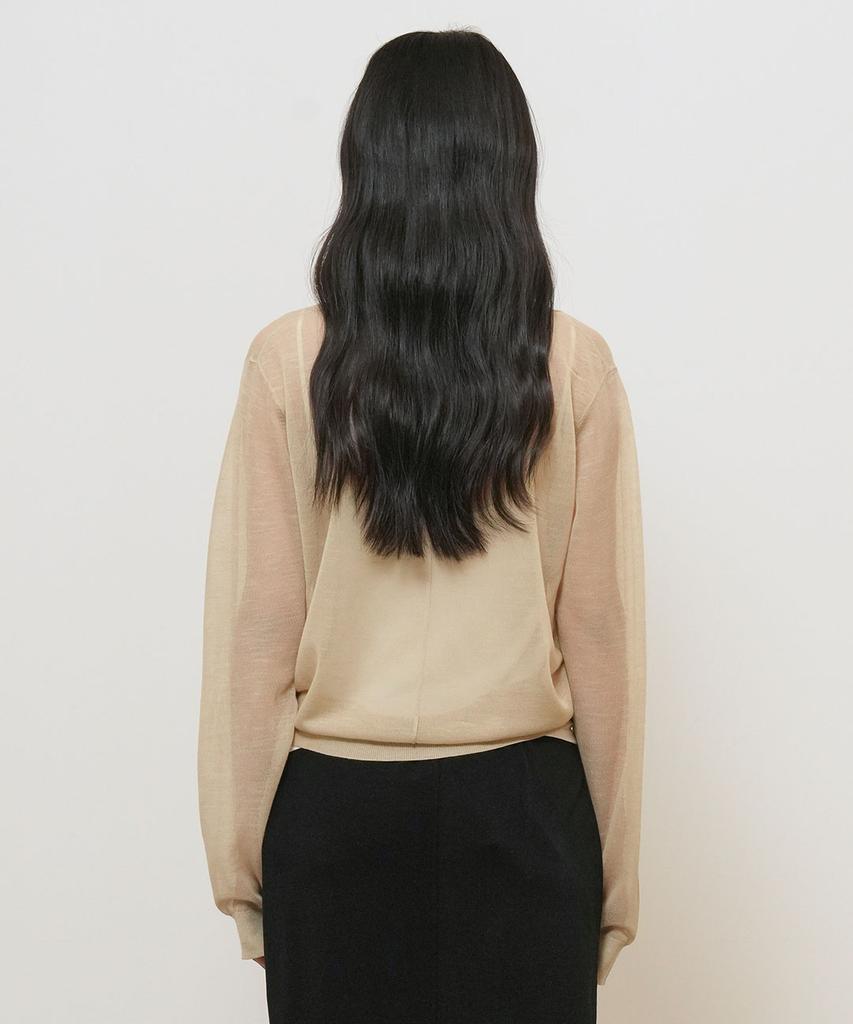 GENERALIDEA Deep V-Neck See-Through Knit Pullover [Sand] / Gf2Lkp544