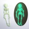 3D Printed Skeleton Articulated Skeleton Figure Collectible Flexible Skeleton Fidget Toy for Halloween Decoration Stress Relief