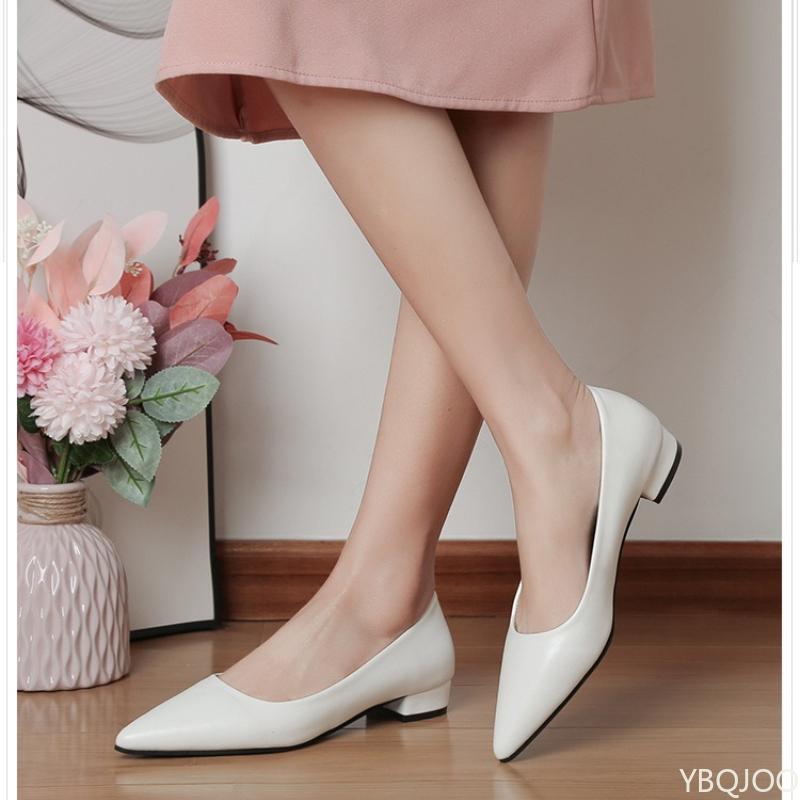 Women's Elegant Fashion High Heels Dress Shoes 2025 women New Pointed Toe Shallow Mouth Square Heel Small Leather Shoes Zapatos