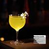Japanische Collins-Tasse: Leichtes Highball-Glas für Cocktails und Long Island Iced Tea