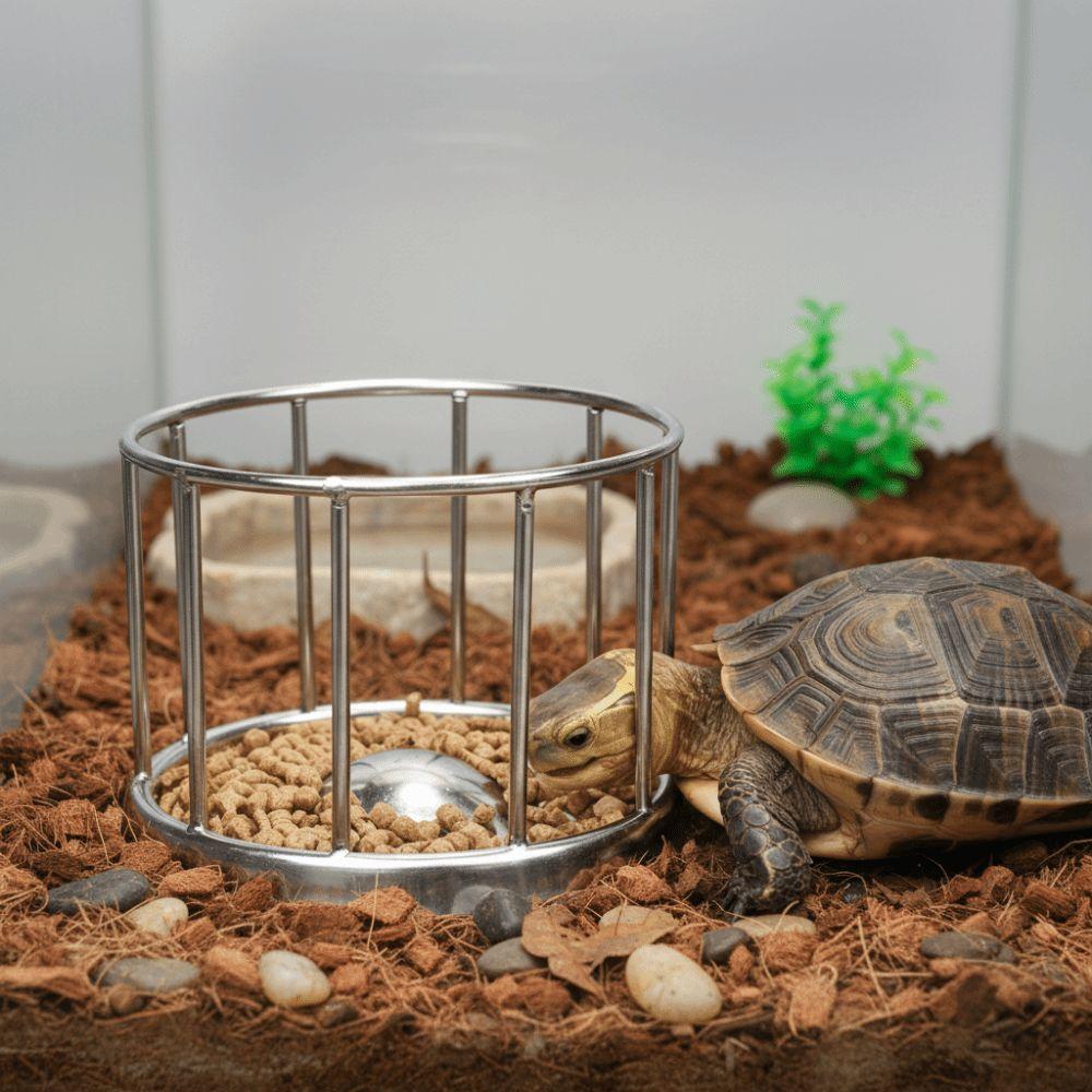 Large Capacity Tortoise Food Dish Fence Design Reptile Water Tray For Amphibians