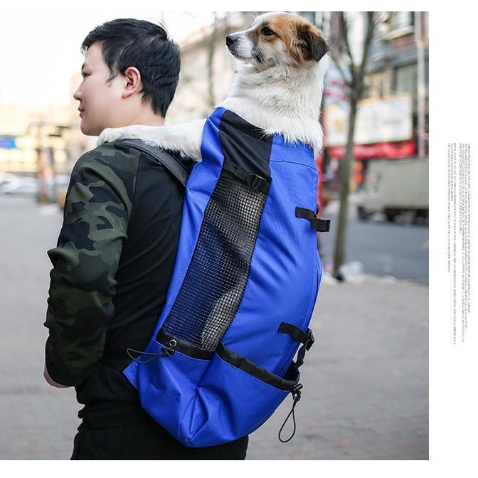 Dvoupopruhový cestovní batoh pro mazlíčky s odvětraným, prodyšným designem pro psy – Omyvatelný, ideální pro cyklistiku a nákupy venku