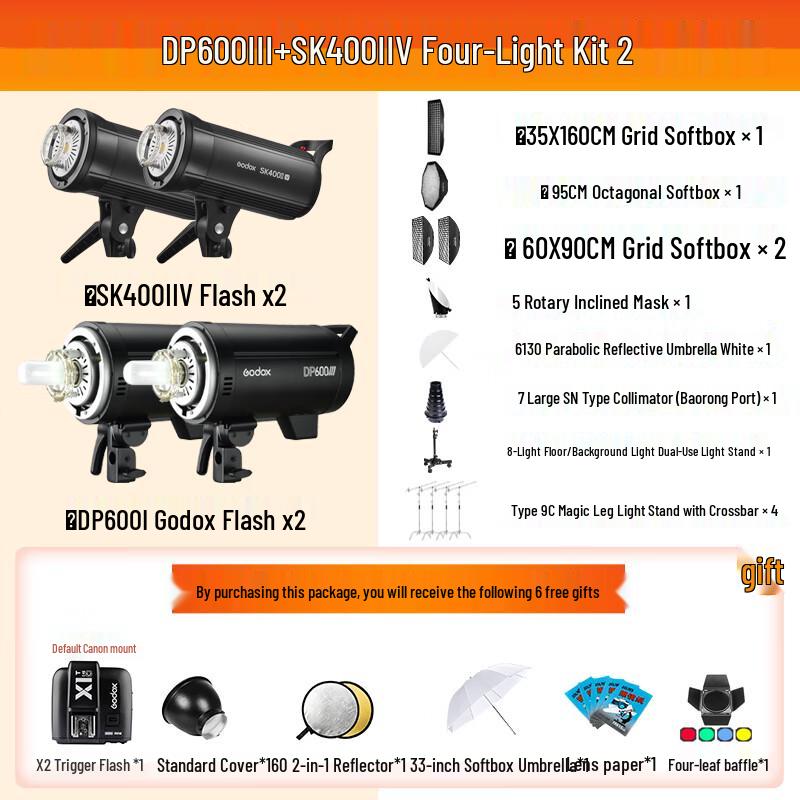 Godox Professional Studio Flash Kit