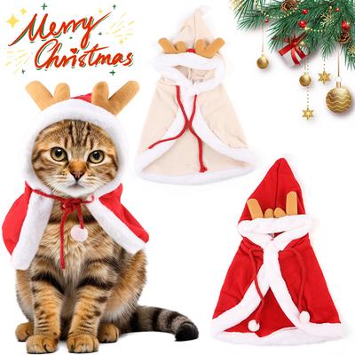 Katten – Kleding voor katten