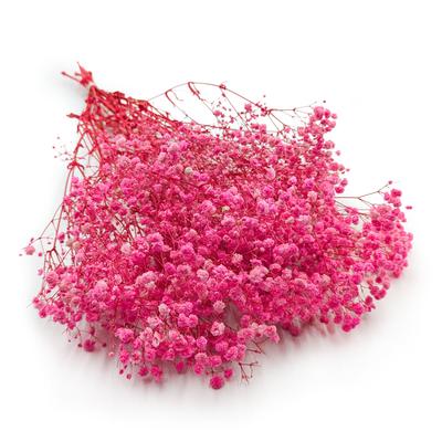 Woondecoratie – Decoratieve bloemen en kransen