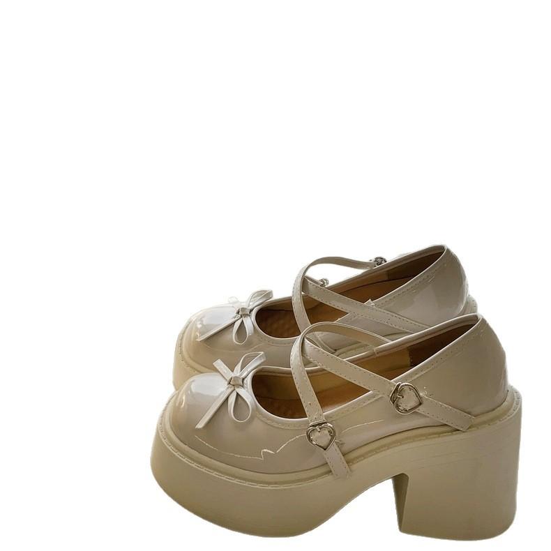 Round Head Shallow Mouth Thick Sole Mary Jane Small Leather Shoes Women's New Autumn Skirt French Thick Heel Single Shoes Women