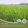 250g Organic Barley Grass Powder Gluten Free Non-GMO Superfood Vegan Non-GMO