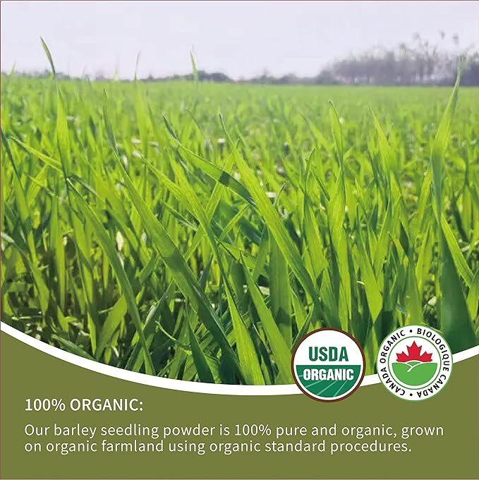 250g Organic Barley Grass Powder Gluten Free Non-GMO Superfood Vegan Non-GMO