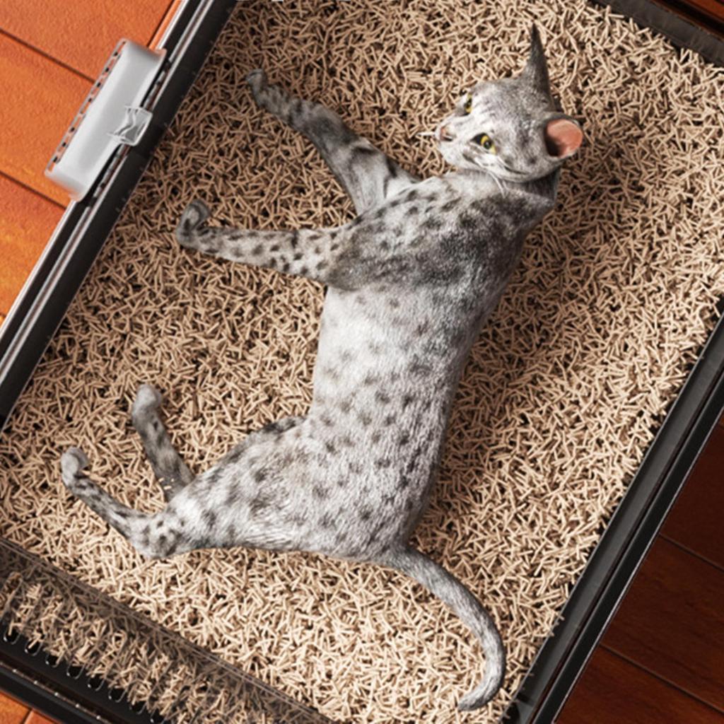 Offene Katzenklo-Box Tragbare Bettpfanne Kätzchen-Klo-Schale Katzentoilette Sandkasten