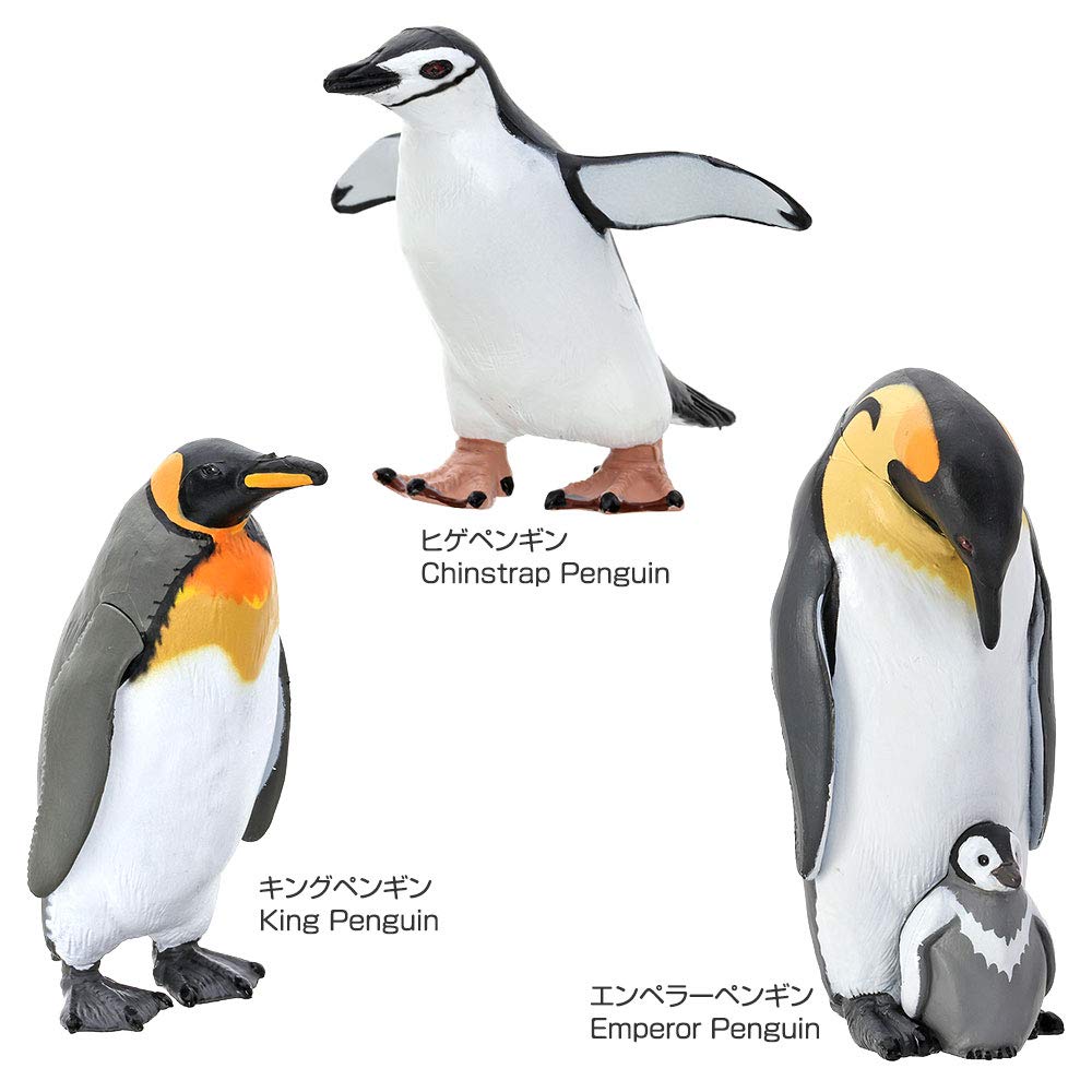 COLORATA Penguin 3D Picture Book 13 Pieces Explanation Real Figure Birthday Present Gift Sanitation Law Figure Penguin Christmas Present (12 Types, /