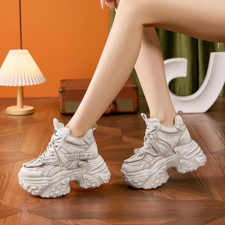 Fleece Dad Shoes Women's Winter Warm Thick-soled High-top Inner Heightening Women's Shoes Gel Polishing Retro Old Dirty Shoes