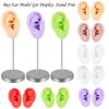 Silicone Ear Model for Piercing Practice and Jewelry Display Realistic Left and Right Human Ear Simulation Ears Replicas