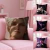 Hot Game Love And Deepspace Pillow Case Anti-dustmite Pillowcase Invisible Zipper Silky Short Plush Sofa Cushion Cover