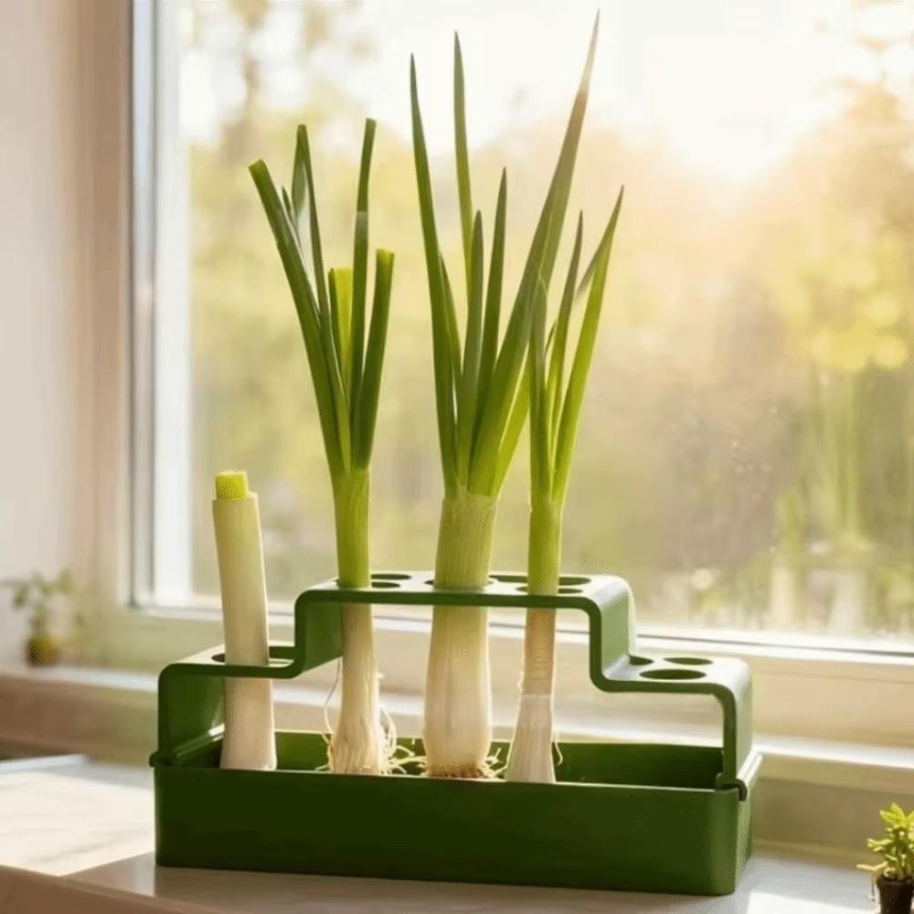 Ventilated Lettuce Planting Pot Plastic Vegetable Growing Plate  Repeated Growth