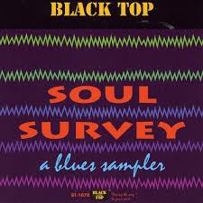 

CD VARIOUS - Soul Survey CDBT1078 Black Top Recor 1992 US Blues Used