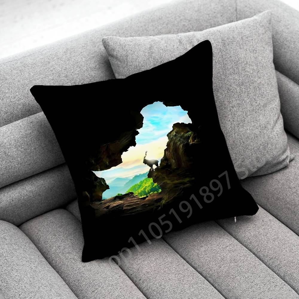 Pakistan Passport Map Flag Throw Pillow Case For 30cm 40cm 45*45cm 50cm 55cm Square Sofa Pillowcase Shell
