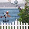 Metal Weather Vane Indicator Rustic Style Dog Wind Vane Rooftop Decoration for Shed Garden Yard Decor