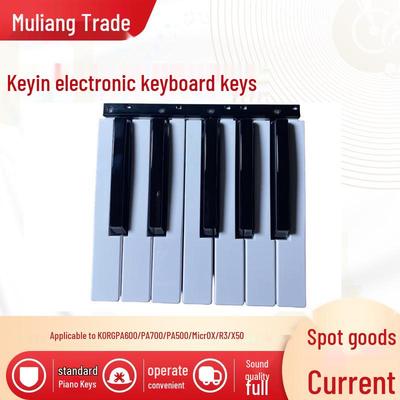 Korg Replacement Keys for PA500/600/700 & Microx/R3/X50 Keyboards