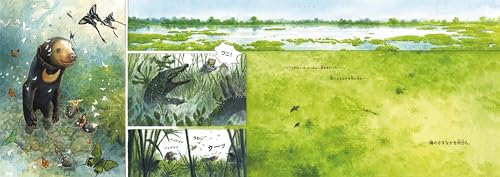 Soria In the Forest: The Story of Chang, the Sun Bear Rescue (Translated Picture Book Series)