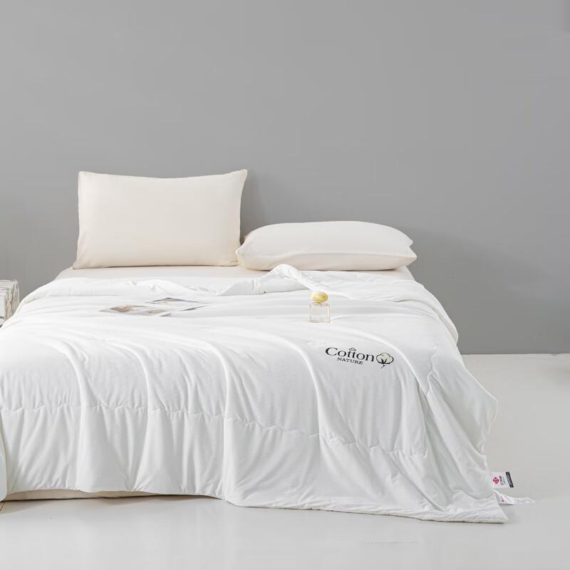 

Paul Davidson All-Season Soy Fiber Quilt