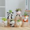 Cute Ceramics Animal Shaped Plant Pots Cartoon Succulent Flower Pots Garden Ornaments
