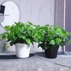 Artificial Pothos Plant – Small Potted Green Decoration for Indoor Use