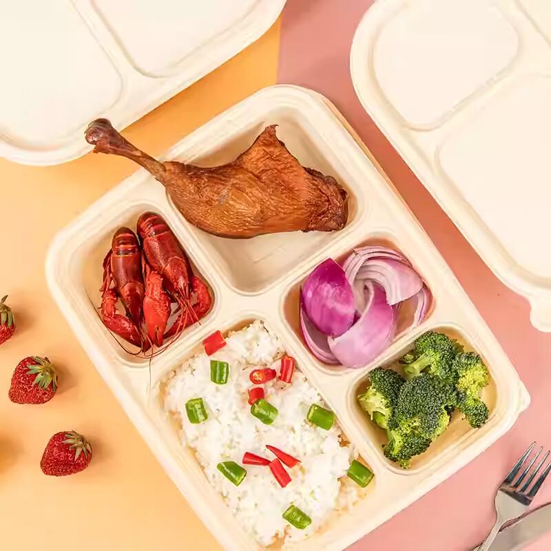 Biodegradable 5-Compartment Takeaway Meal Prep Containers