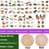 Life Cycle Board Montessori Kit Biology Science Education Toys for Kids Sensory Tray Animal Figure Life Cycle Sorting Wooden Toy