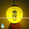 30cm Japanese Izakaya Outdoor Waterproof Decor Lanterns Sake Sushi Lamian Noodles Salmon Cuisine Restaurant Advertising Lantern