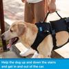 Full Body Support Dog Lift Harness Adjustable Dog Harness  Help for Weak Hind Legs, Stairs & Cars