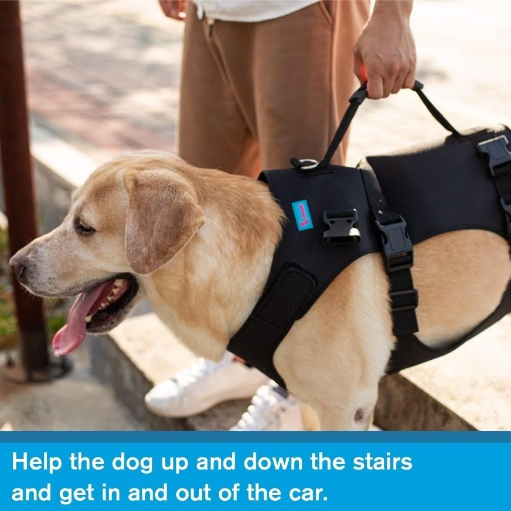 Full Body Support Dog Lift Harness Adjustable Dog Harness  Help for Weak Hind Legs, Stairs & Cars