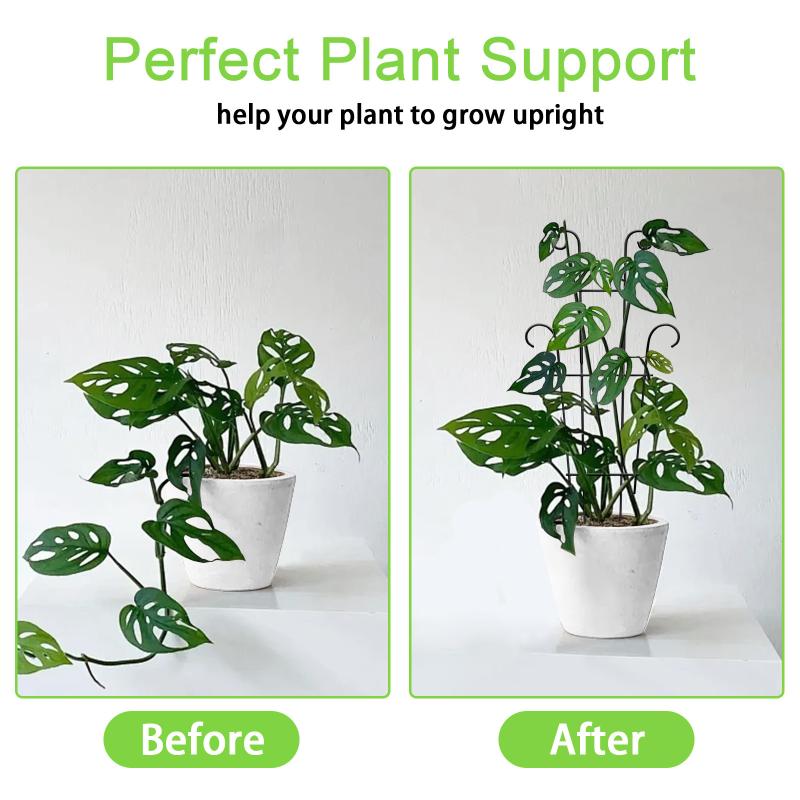 Stakes Plant Climbing Support Frame Trellis Flowers Stand Cage Tree Garden Plant Support Plant Care For Plants Growth