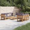 VidaXL Garden Lounge Set with Cushions 9 Pcs, Patio Sofas, Patio Furniture Set, Outdoor Furniture, Wood 3214317