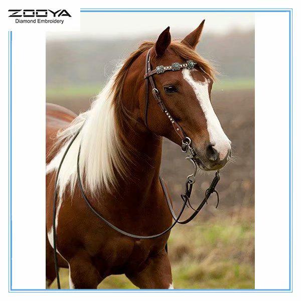 

ZOOYA DIY 5D квадратный горный хрусталь животное лошадь Алмазная вышивка картина вышивка крестом домашний декор