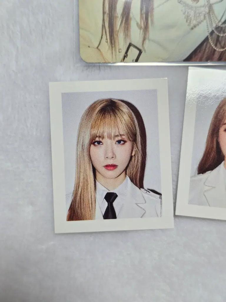 DREAMCATCHER 1st Term Membership Gift: Pika Proof Photo Used