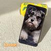 Schnauzer Dog Case For Samsung Galaxy M56 M06 M12 M32 M52 M35 M55 M15 M11 M13 M14 M16 M36 M31 M53 M34 M54