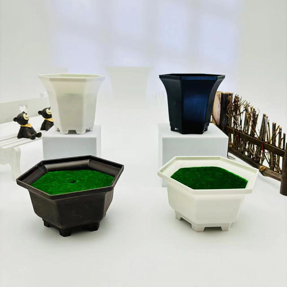 Bonsai Hexagonal Geometric Plastic Plant Flower Pot For Living Room And Office