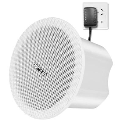 SAST YY-U4 Wireless Bluetooth Ceiling Speaker System CN Plug (adapter Included)