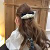1pc Sweet Lace Satin Pleated Bow Hair Clip, French Elegant and Versatile Spring Clip, Fashion New Contrast Design Spring Clip