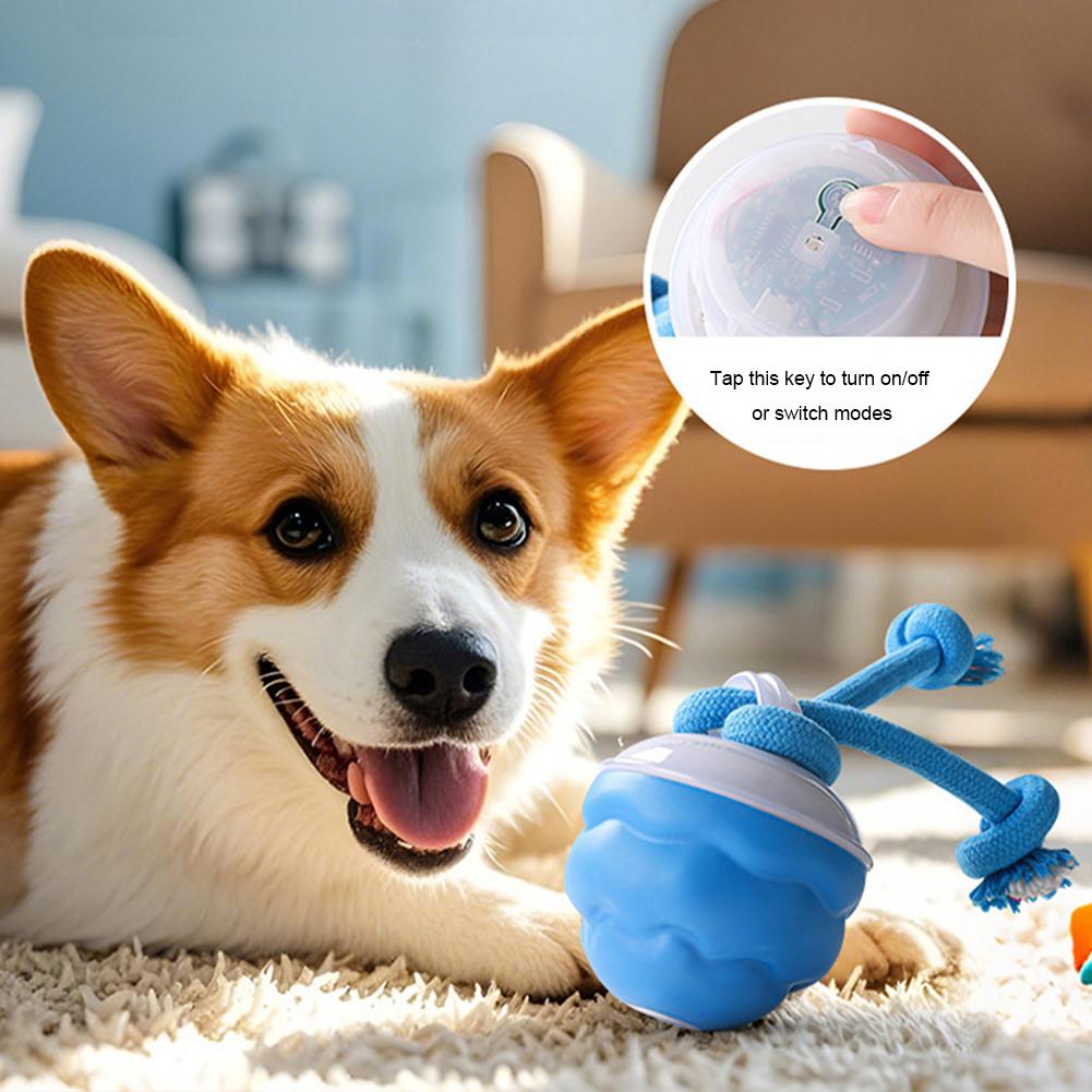 Beweglicher Hundeball USB Wiederaufladbarer Aktiver Rollball Quietschendes Hundespielzeug für Mittel Kleine Hunde Welpen