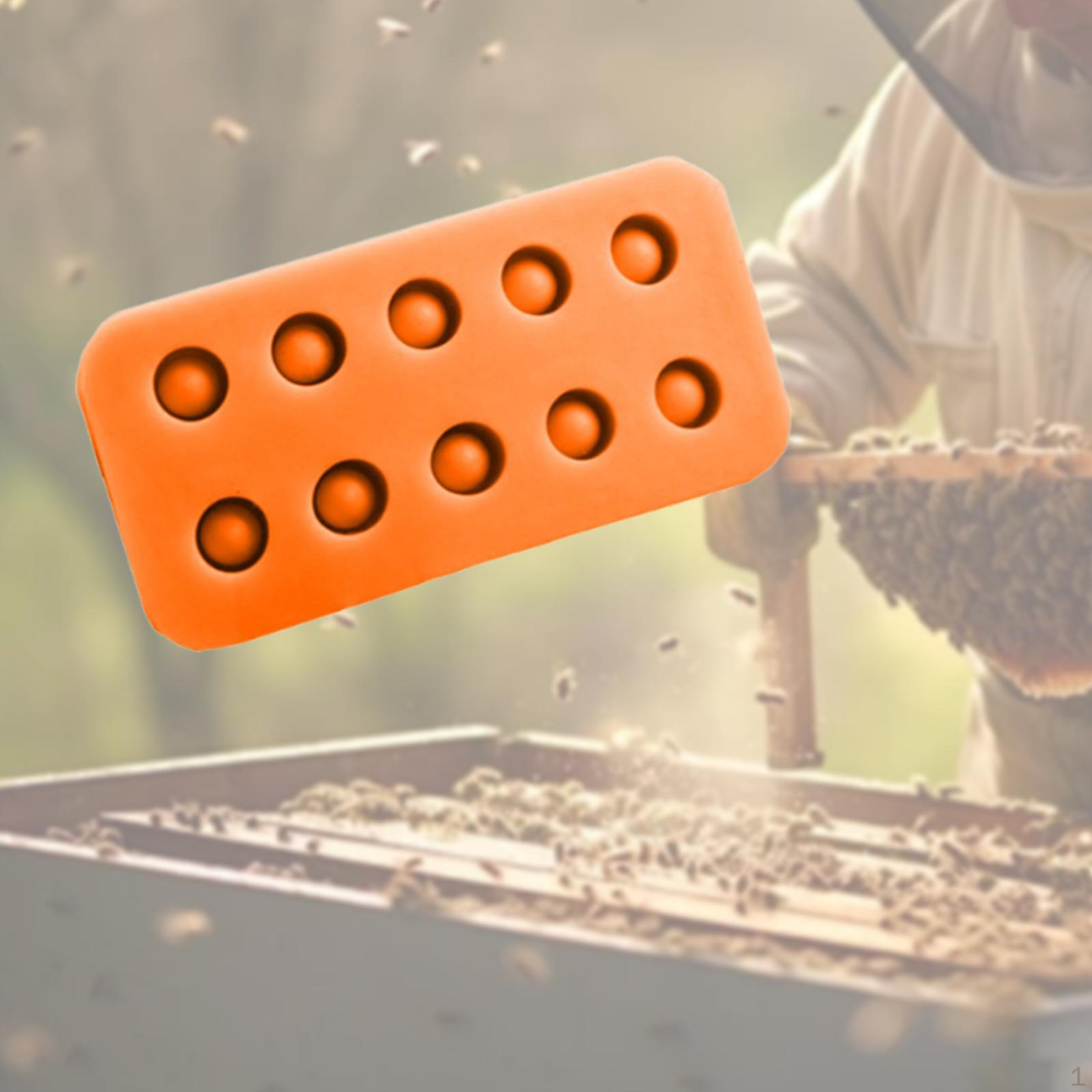 

Queen Grafting Cups Bee Cell Cup Model Bees Silicone for Professionals оранжевый