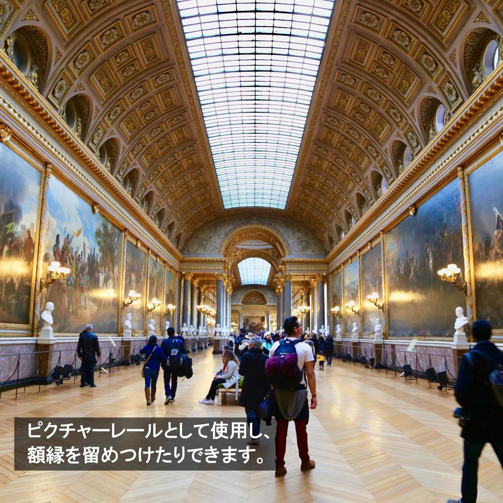 Daidohant 10157317 Stainless Steel Wire Rope (Diameter) 0.04 Inches (1.0 Mm) X Length 16.9