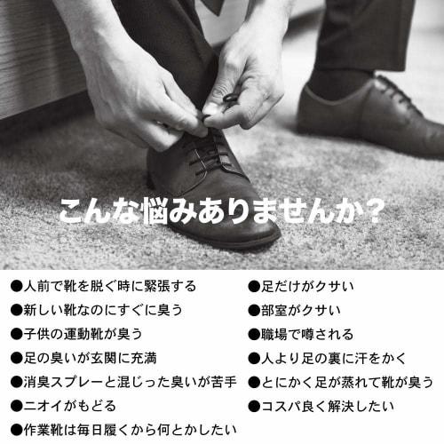 SMELL FRESH Shoe Deodorizer Powder, 100g, Disinfectant, Additive-Free, Fragrance-Free, Odor Eliminating Powder, Made In Japan