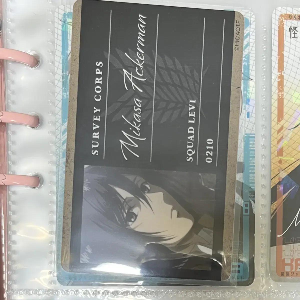 

Attack On Titan Mikasa Profile Card