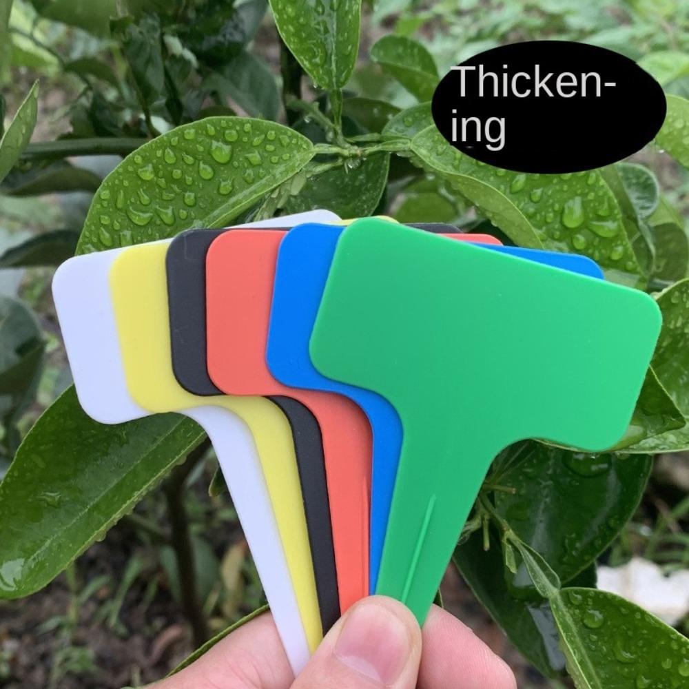 100PCS Markers Nursery Garden Plant Labels PVC Flower Name Tag Bonsai Accessories