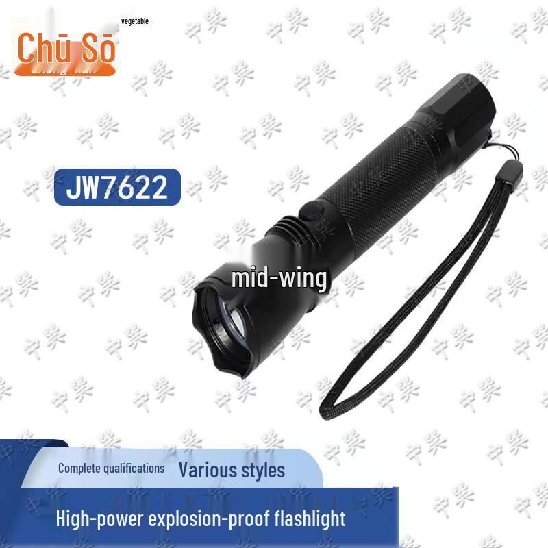 ZhongXun Industrial Explosion-Proof Lighting Solutions