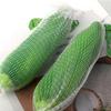 Simulation Vegetable Cucumber Squeeze Toy Slow Rebound Decompression Pull Toy  Anxiety Relief