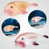 Solid Cross Water Drop Fish Simulation Toy Model - Bobo Sea Creature Ornament
