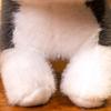 Husky Dog Plush Toy,Husky Puppy Doll,Cotton Husky Stuffed Animal Doll with Flower,Soft Cuddly Plush Hugging Pillow for Kid Gift Valentine's Day Gift